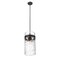 Z-Lite Fontaine 4 Light Pendant, Matte Black & Clear 3035P12-MB - alternate 8